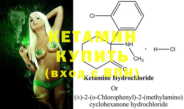 шишки Нефтегорск