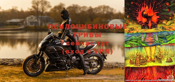 бошки Новодвинск