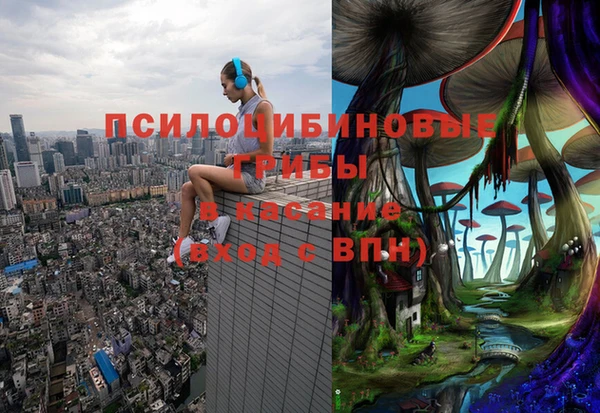 apvp Новокубанск