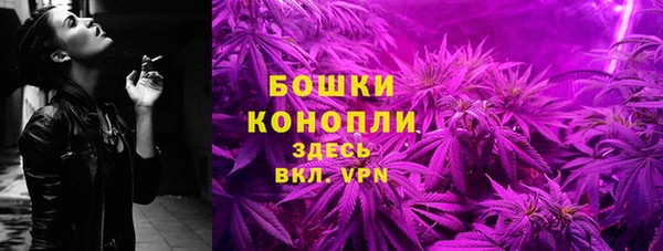 шишки Нефтегорск