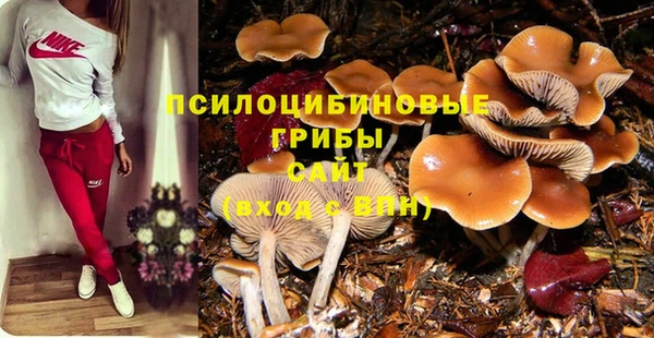 бошки Новодвинск