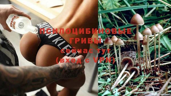 apvp Новокубанск