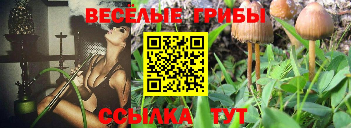 Галлюциногенные грибы Psilocybe  Псилоцибиновые грибы Magic Shrooms  Череповец  Вход с VPN 